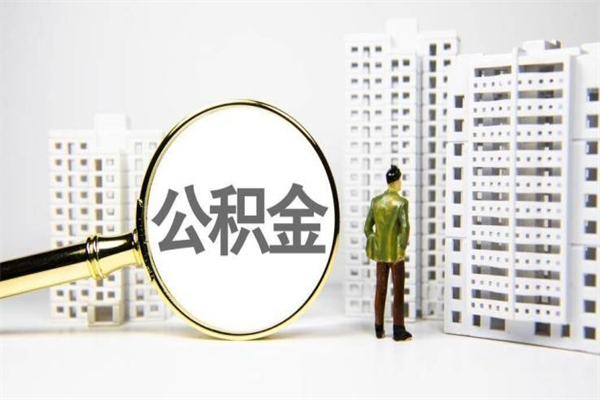 衡东代提公积金（代提公积金犯法吗）